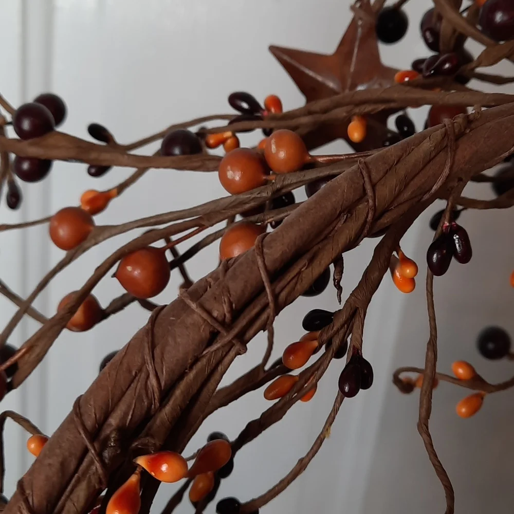 Wreath Rust Metal Star Stars Seed Berry Urban Farmhouse Tan Dark Brown Wall Door